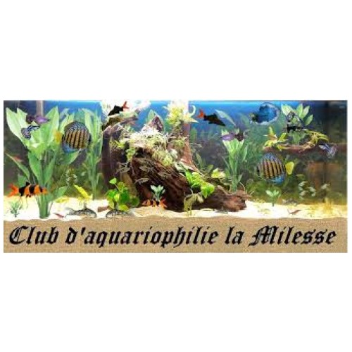 Image du service